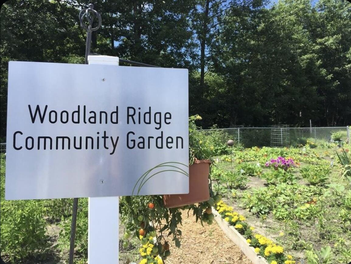 18372 North Ridge Court, Unit 8 Spring Lake, MI 49456 - Photo 43 of 44 IMG_8904