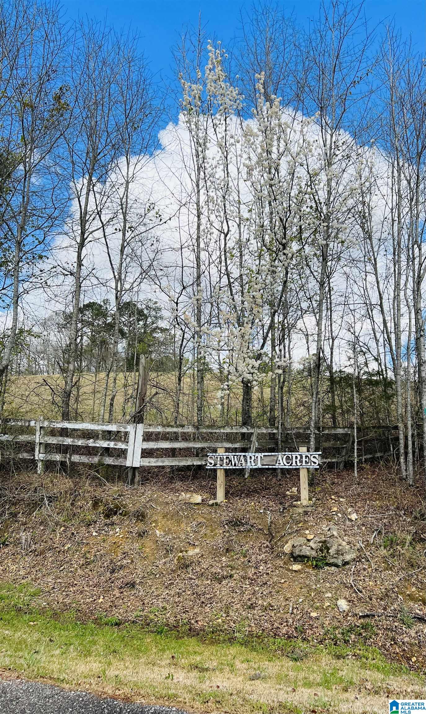 Stewart Road, Unit 6 7 & 8 Riverside, AL 35135 - Photo 2 of 4