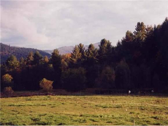 Lot #3 Herb Starck Road Moretown, VT 05660 - Photo 1 of 1 Gallery Image 1