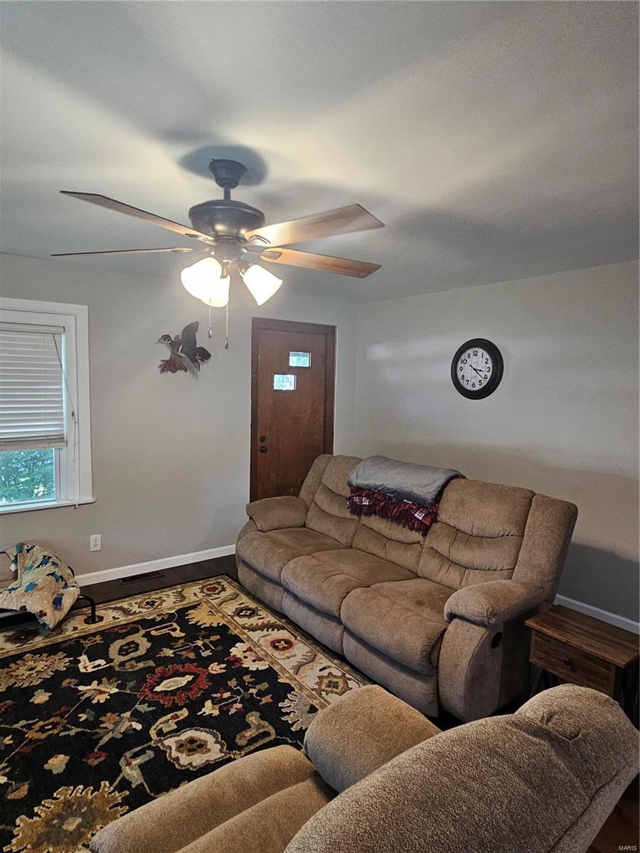 401 South 3rd Street Ava, IL 62907 - Photo 11 of 25 Gallery Image 11