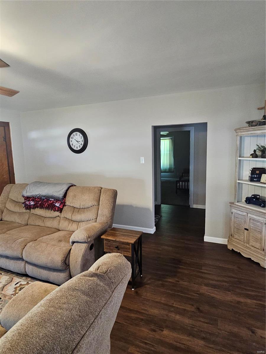 401 South 3rd Street Ava, IL 62907 - Photo 13 of 25 Gallery Image 13