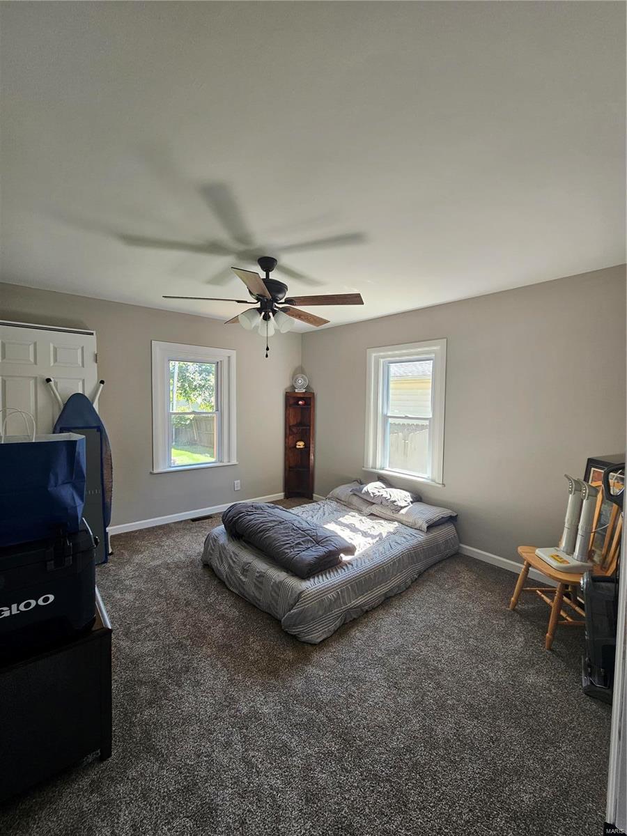 401 South 3rd Street Ava, IL 62907 - Photo 17 of 25 Gallery Image 17