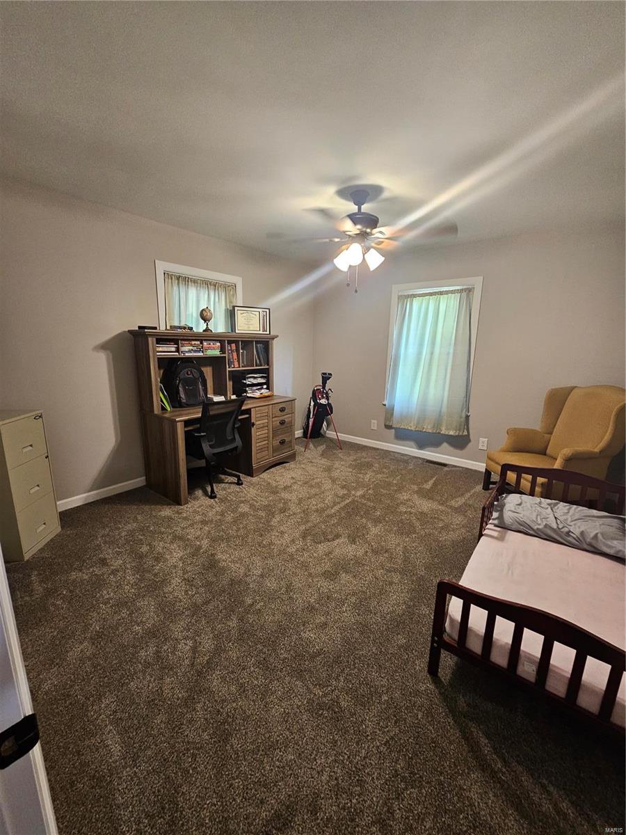 401 South 3rd Street Ava, IL 62907 - Photo 19 of 25 Gallery Image 19