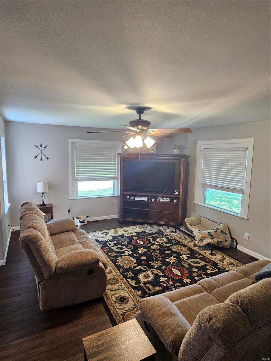 401 South 3rd Street Ava, IL 62907 - Photo 10 of 25 Gallery Image 10