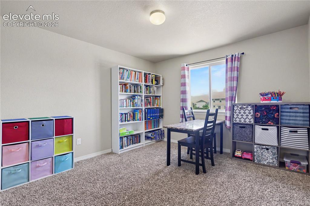 6598 Alliance Loop Colorado Springs, CO 80925 - Photo 24 of 39