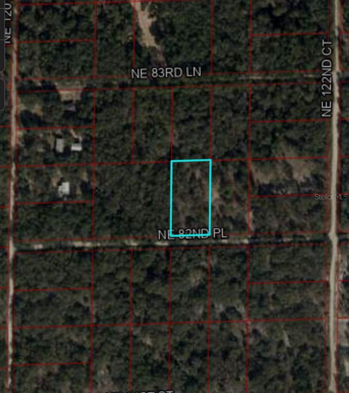 Tbd Northeast 82nd Place Bronson, FL 32621 - Photo 12 of 14 a backyard of a house with lots of green space