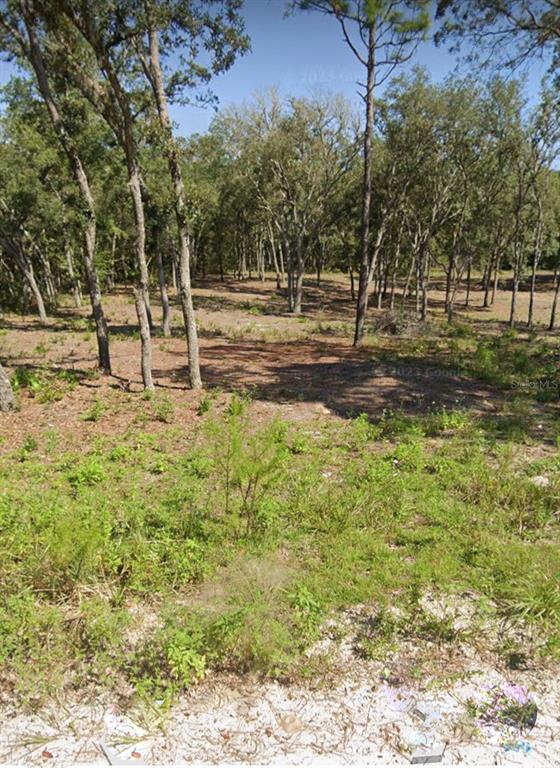Tbd Northeast 82nd Place Bronson, FL 32621 - Photo 13 of 14 a view of a yard with trees