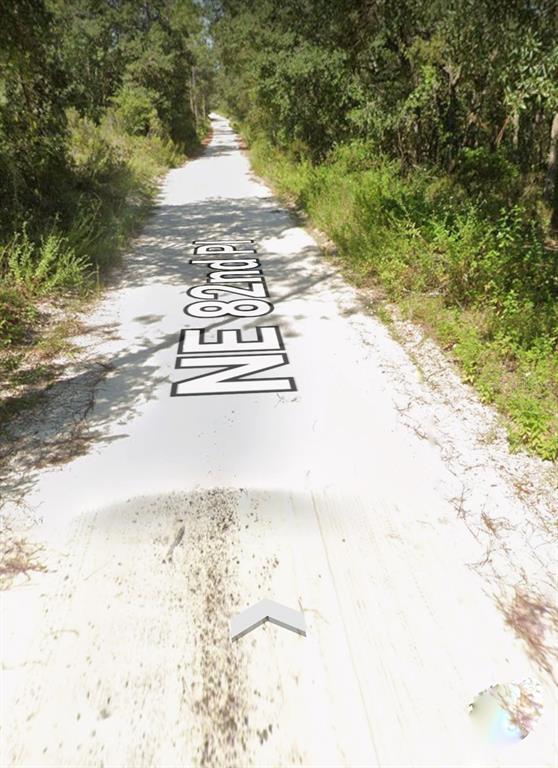 Tbd Northeast 82nd Place Bronson, FL 32621 - Photo 2 of 14 a view of a yard with plants and trees