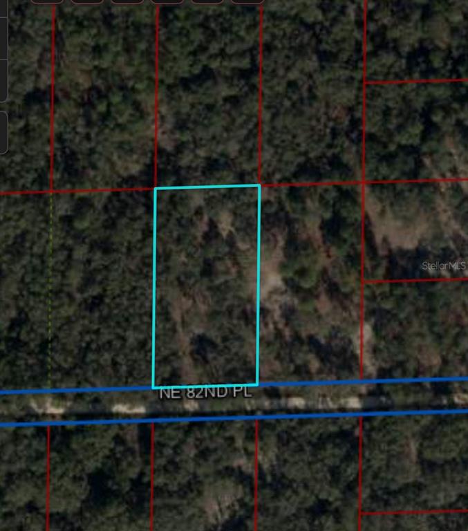 Tbd Northeast 82nd Place Bronson, FL 32621 - Photo 4 of 14 a view of a mirror