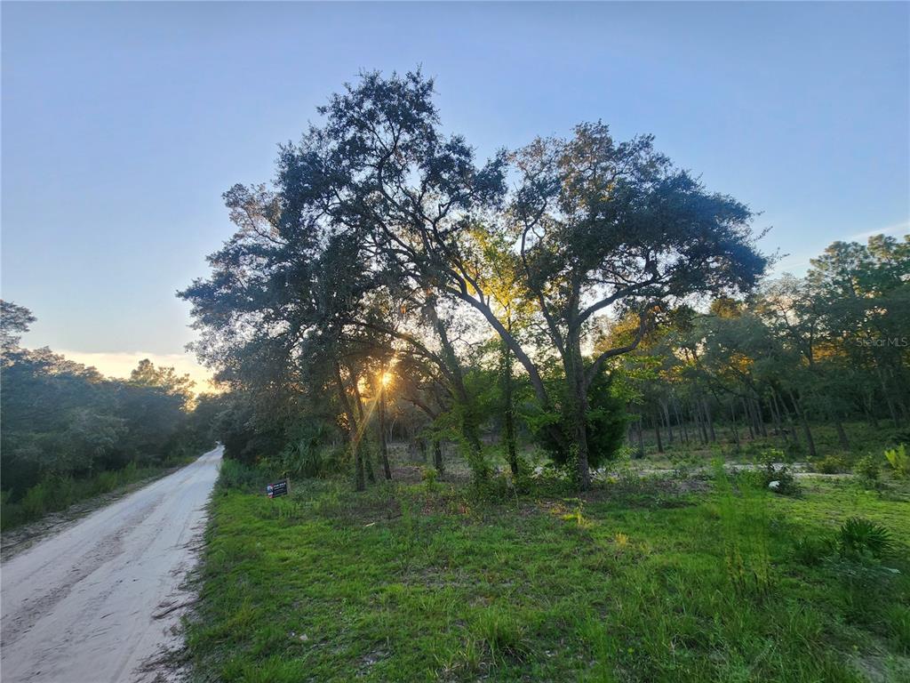 Tbd Northeast 82nd Place Bronson, FL 32621 - Photo 5 of 14 a view of outdoor space with green field and trees