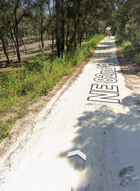 Tbd Northeast 82nd Place Bronson, FL 32621 - Photo 7 of 14 a view of street with view of trees