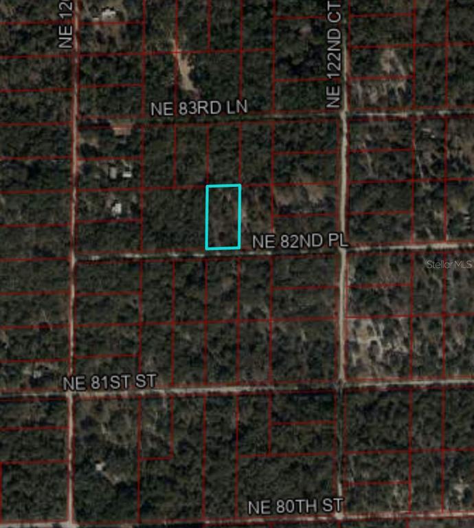 Tbd Northeast 82nd Place Bronson, FL 32621 - Photo 10 of 14