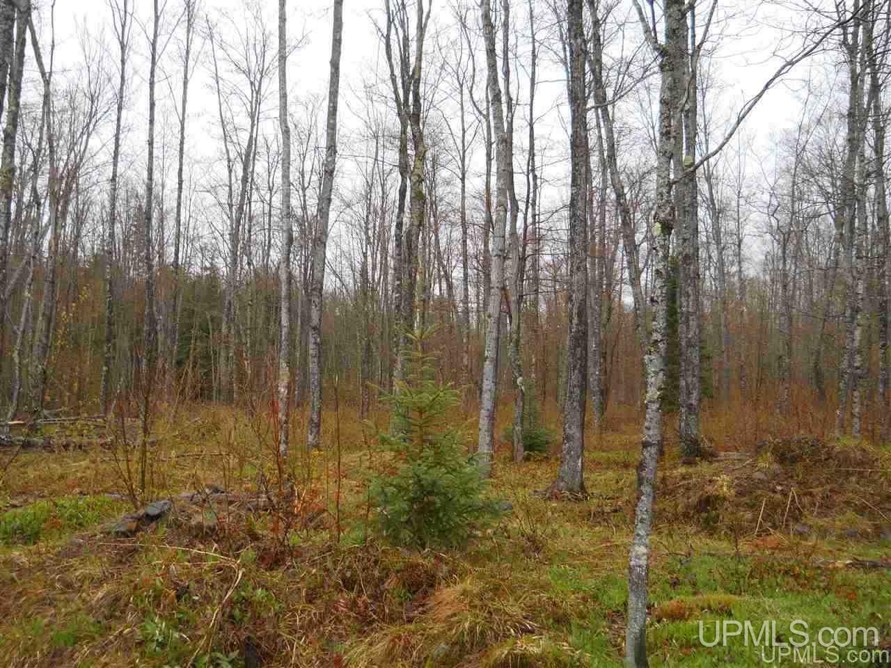 Tbd Tbd Off Us41 Lanse, MI 49946 - Photo 8 of 17