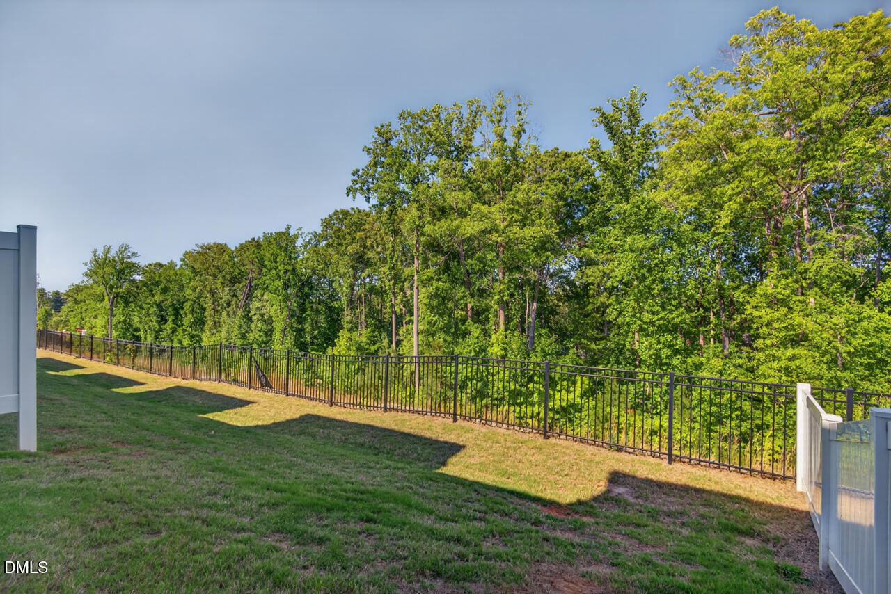 401 Brightleaf Road Hillsborough, NC 27278 - Photo 35 of 39
