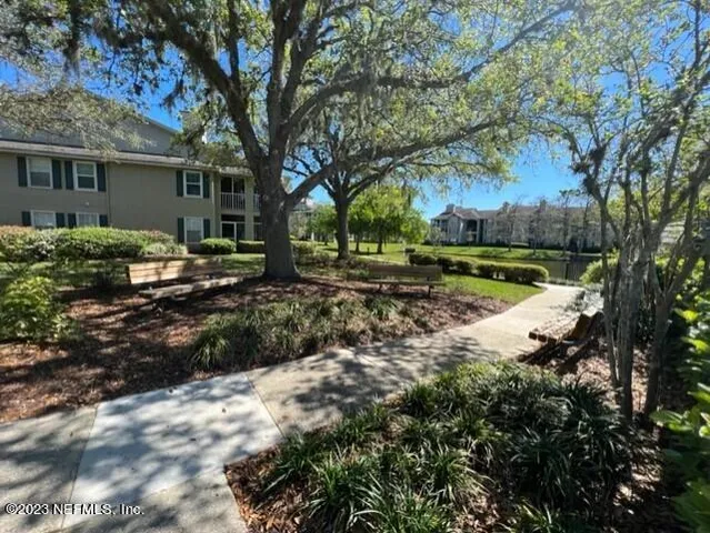 a view of a backyard with large trees