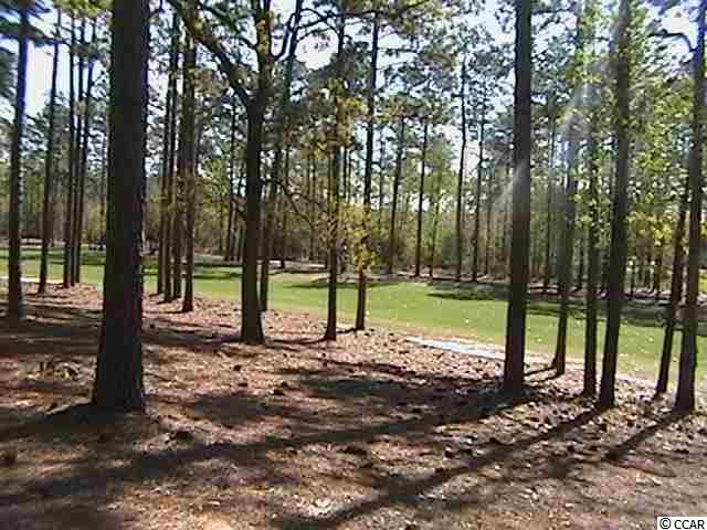 Lot 86 Cascade Drive Murrells Inlet, SC 29576 - Photo 5 of 8 Gallery Image 5