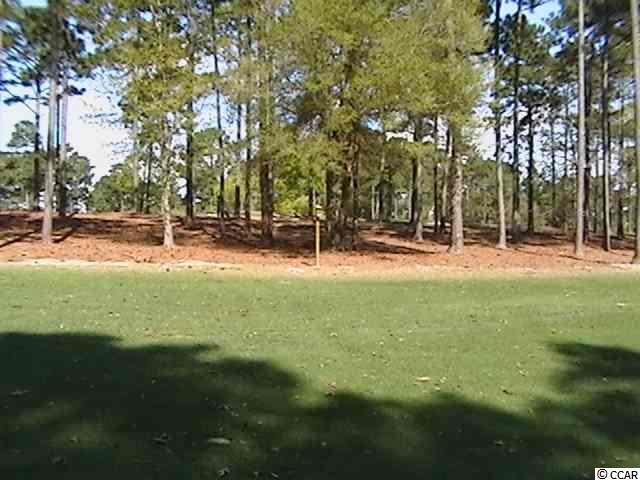 Lot 86 Cascade Drive Murrells Inlet, SC 29576 - Photo 6 of 8 Gallery Image 6