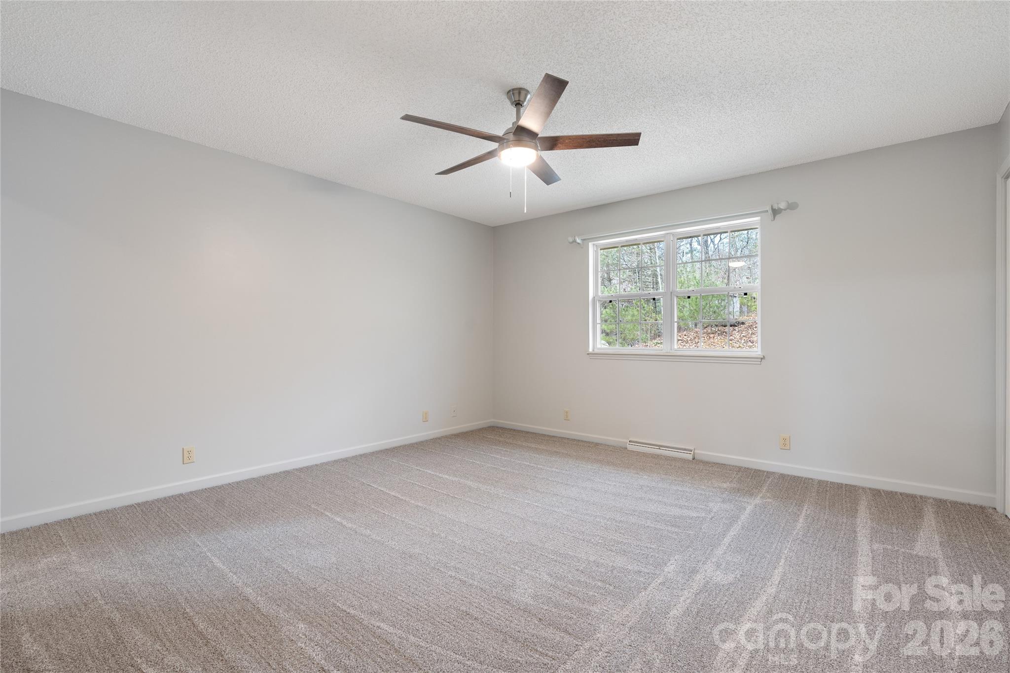 177 Country Road Brevard, NC 28712 - Photo 37 of 48