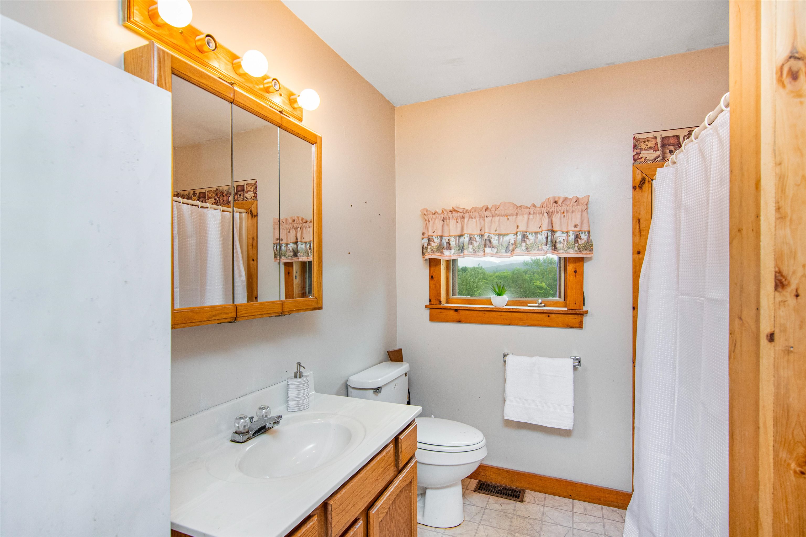 223 Goose Pond Road Fairfax, VT 05454 - Photo 10 of 27
