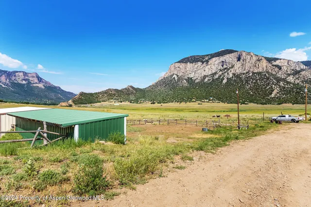a view of a garden with a mountain