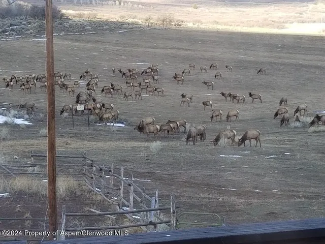 a bed room with a bed and a window