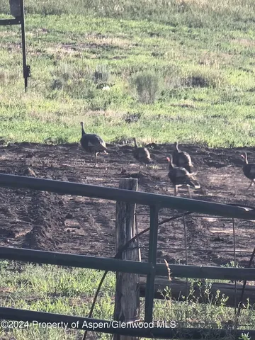 a bedroom with bed and a window