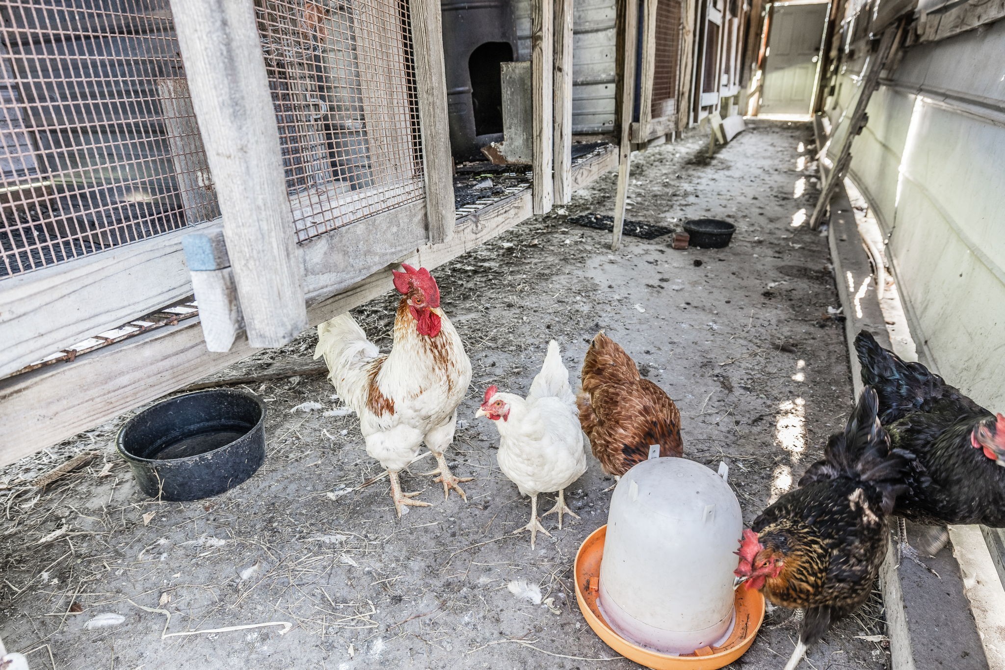 475 Fowler Ford Road Portland, TN 37148 - Photo 37 of 100