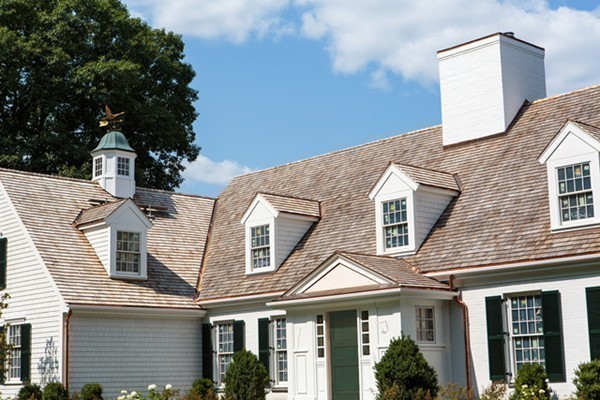 59 Carisbrooke Road Wellesley, MA 02481 - Photo 18 of 20