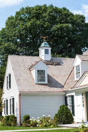 59 Carisbrooke Road Wellesley, MA 02481 - Photo 19 of 20