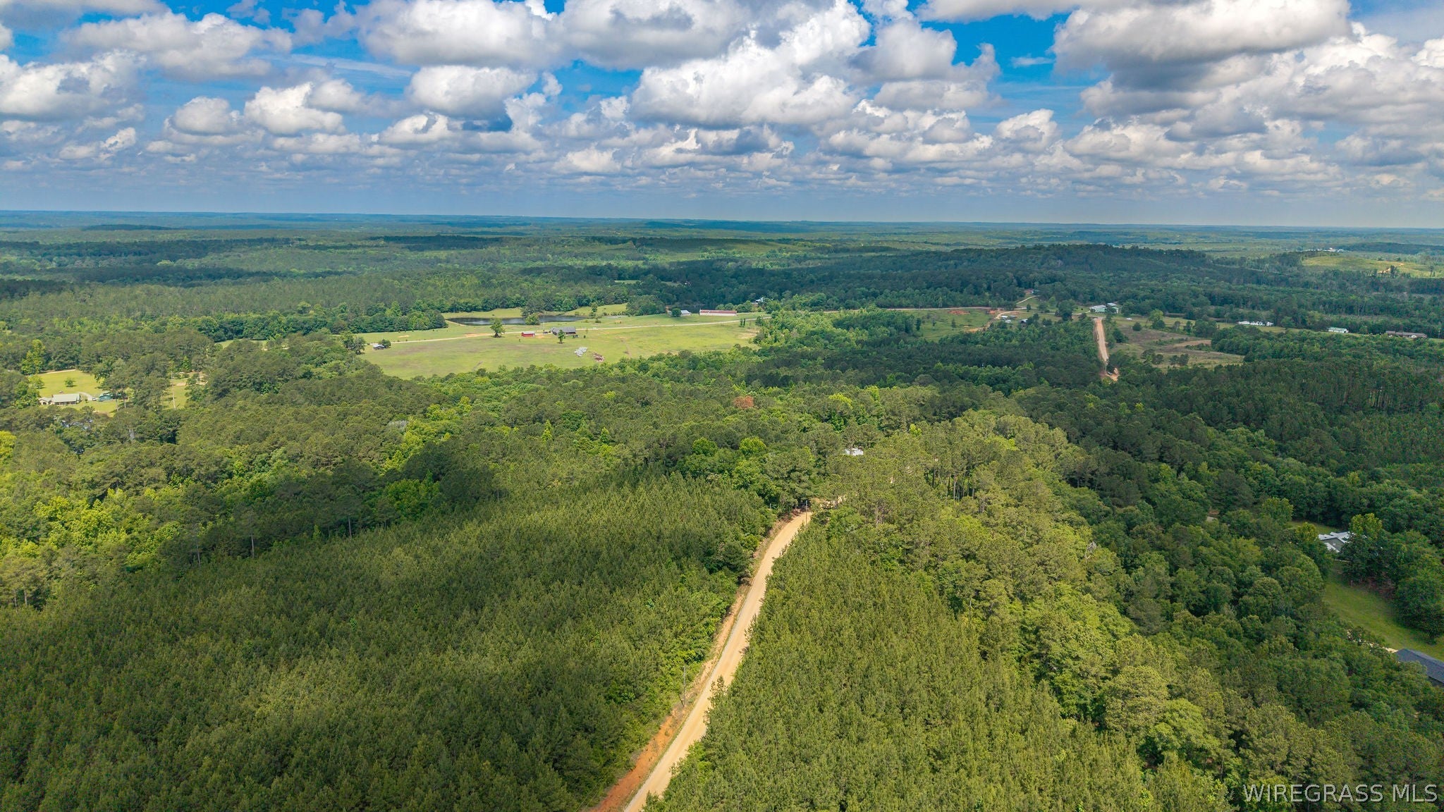0 County Road 245 Road Elba, AL 36323 - Photo 19 of 27 Gallery Image 19