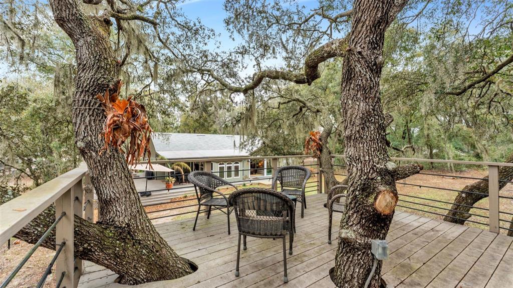 422 Mc Cormick Road Apopka, FL 32703 - Photo 52 of 95