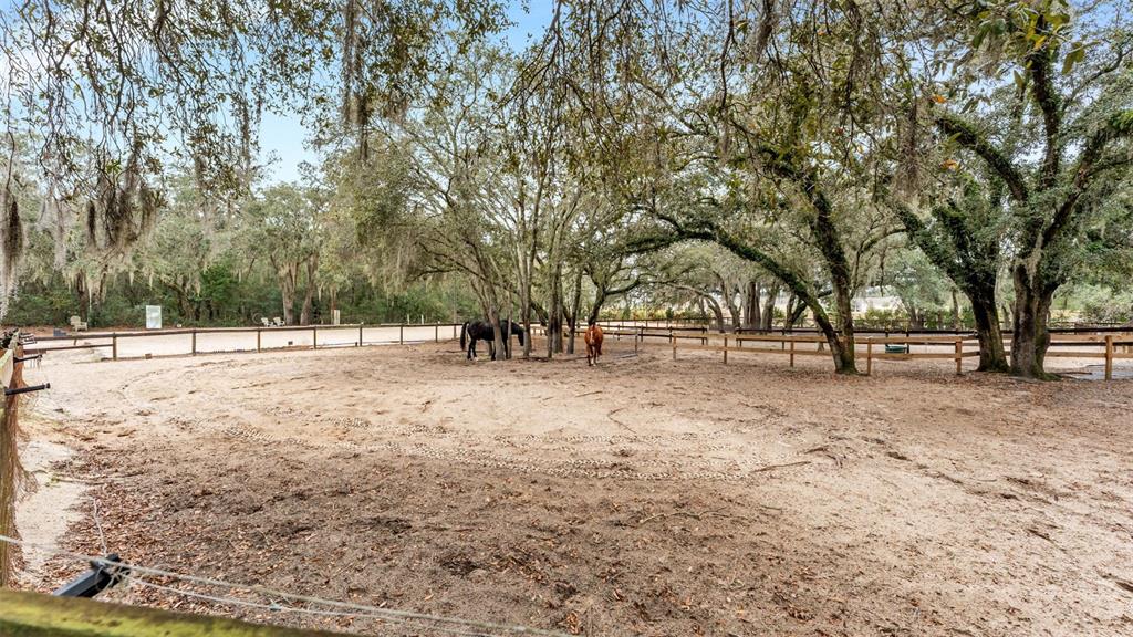 422 Mc Cormick Road Apopka, FL 32703 - Photo 77 of 95 a view of outdoor space with trees