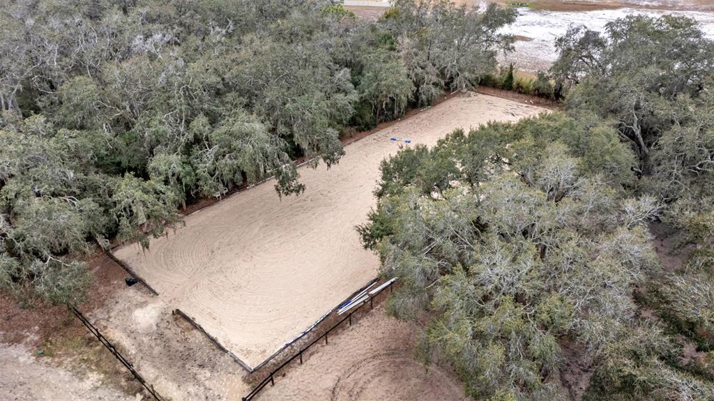 422 Mc Cormick Road Apopka, FL 32703 - Photo 88 of 95 a view of a dry yard with lots of bushes