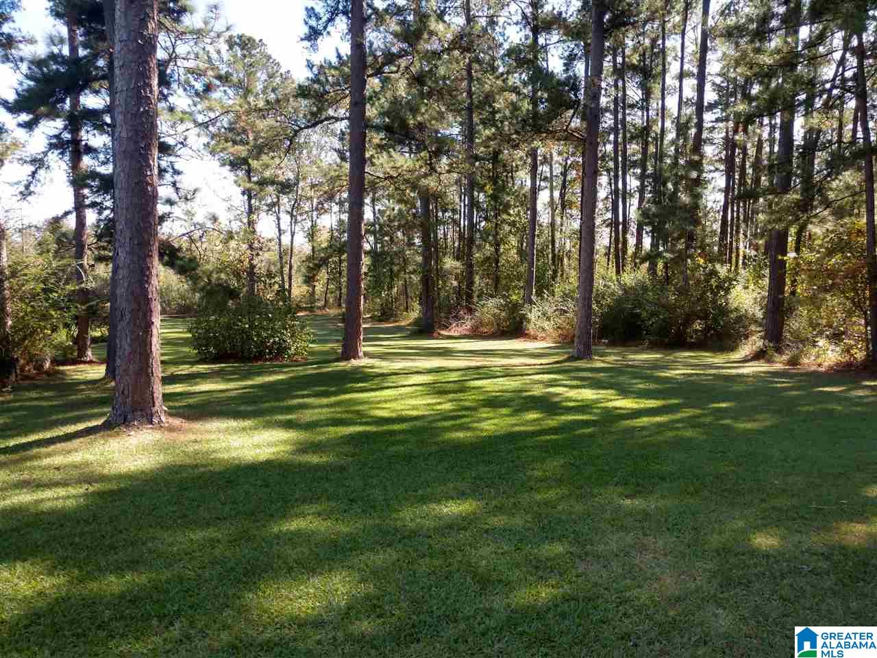 5403 County Road 41 Clanton, AL 35046 - Photo 3 of 12