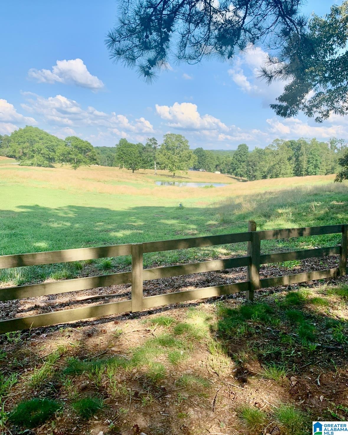 2102 County Road 609 Wedowee, AL 36278 - Photo 29 of 63