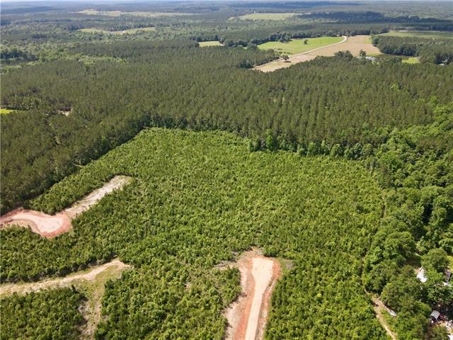 2 436th Highway Angie, LA 70426 - Photo 11 of 19