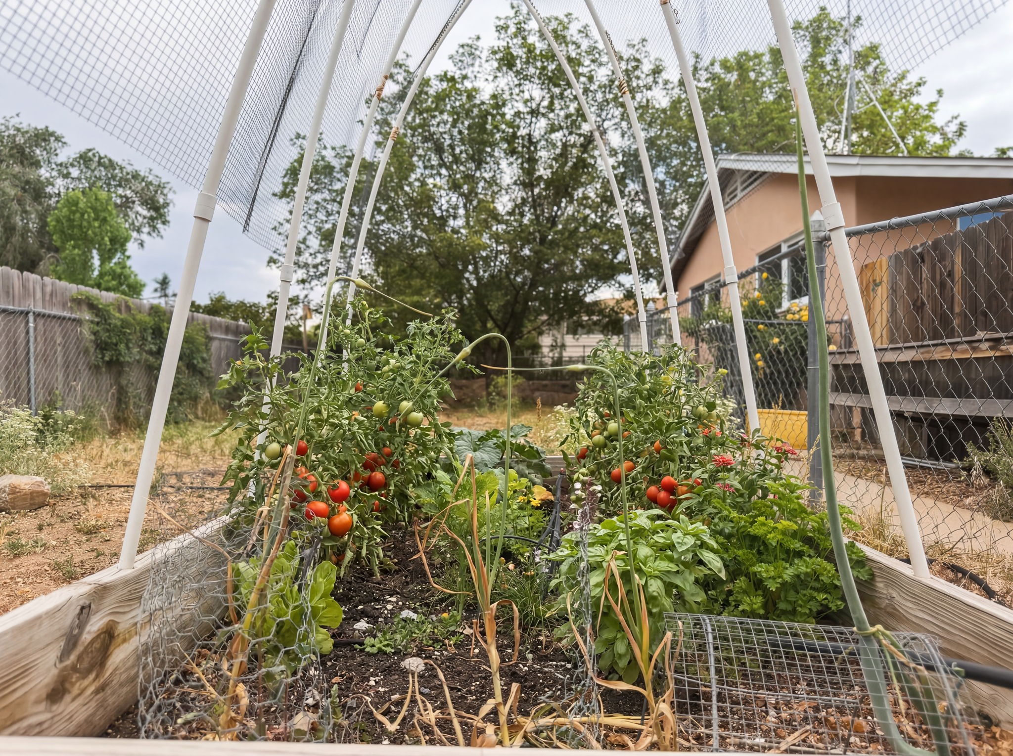 1063 Pinon Loop Los Alamos, NM 87544 - Photo 41 of 45