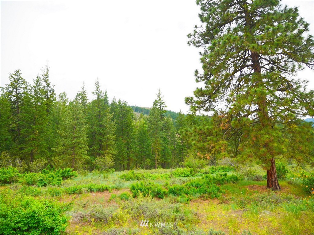 19 Wildflower Road Winthrop, WA 98862 - Photo 2 of 21 Gallery Image 2