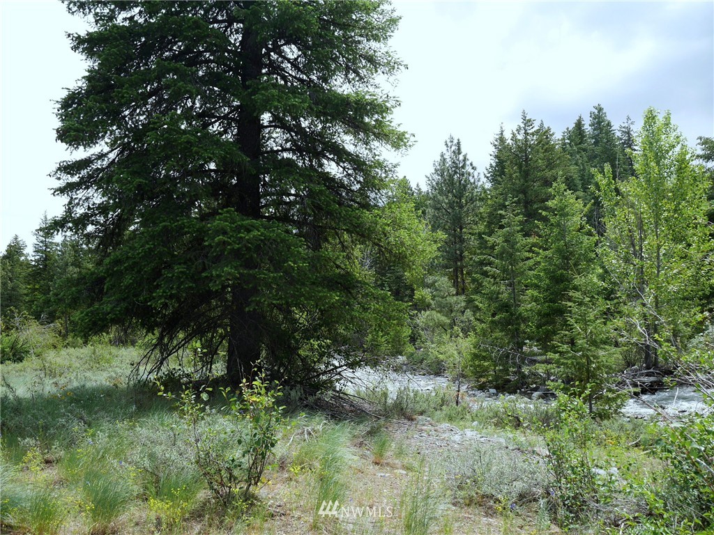 19 Wildflower Road Winthrop, WA 98862 - Photo 11 of 21 Gallery Image 11