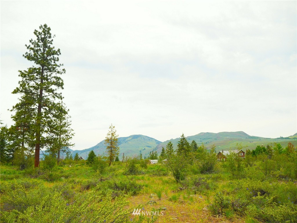 19 Wildflower Road Winthrop, WA 98862 - Photo 14 of 21 Gallery Image 14