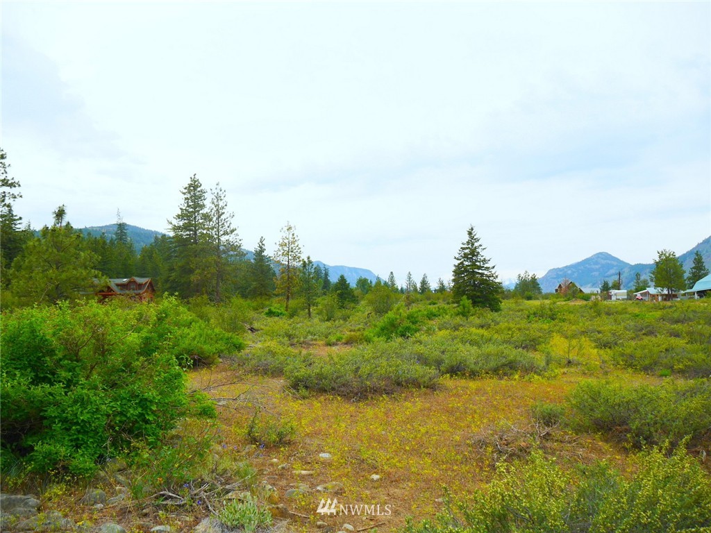 19 Wildflower Road Winthrop, WA 98862 - Photo 16 of 21 Gallery Image 16