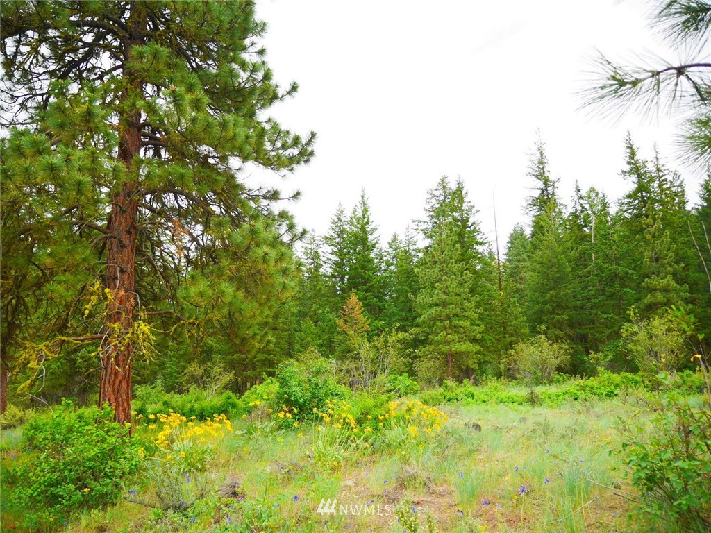 19 Wildflower Road Winthrop, WA 98862 - Photo 17 of 21 Gallery Image 17