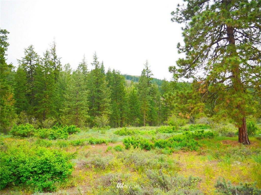 19 Wildflower Road Winthrop, WA 98862 - Photo 18 of 21 Gallery Image 18