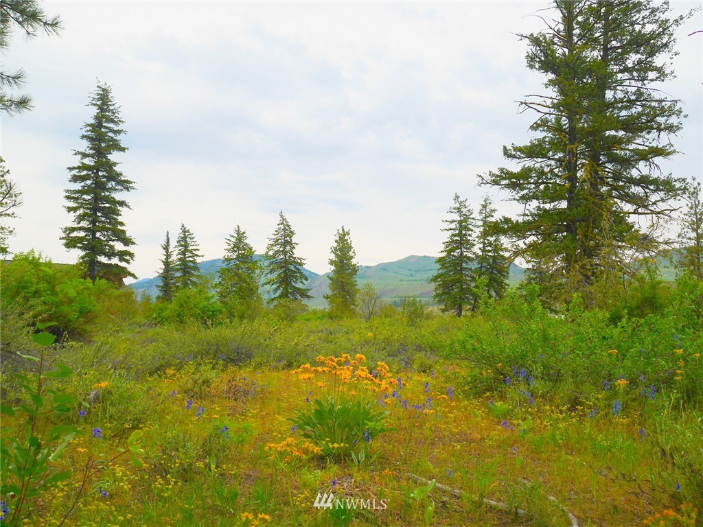 19 Wildflower Road Winthrop, WA 98862 - Photo 19 of 21 Gallery Image 19
