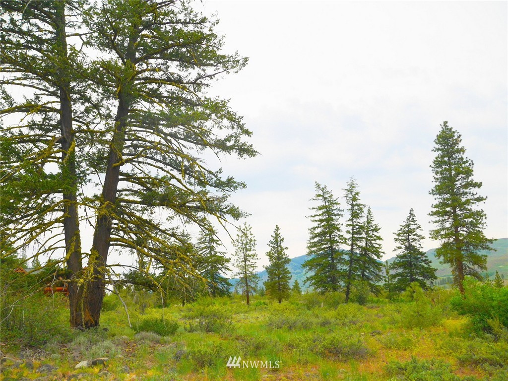 19 Wildflower Road Winthrop, WA 98862 - Photo 20 of 21 Gallery Image 20
