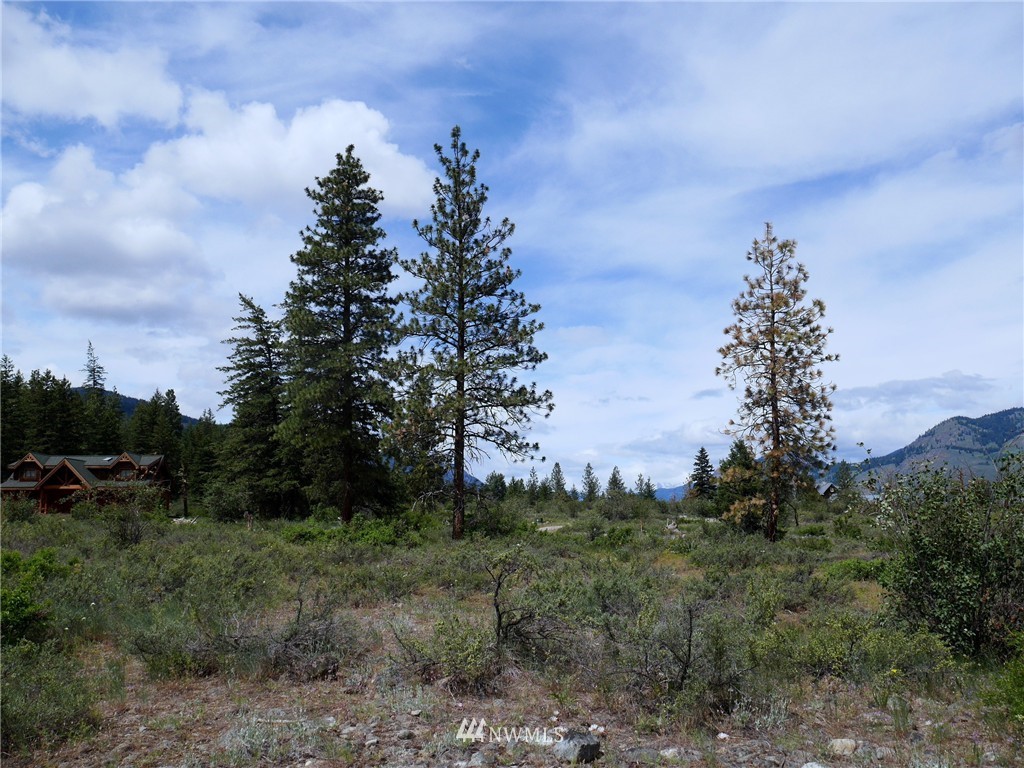 19 Wildflower Road Winthrop, WA 98862 - Photo 21 of 21 Gallery Image 21