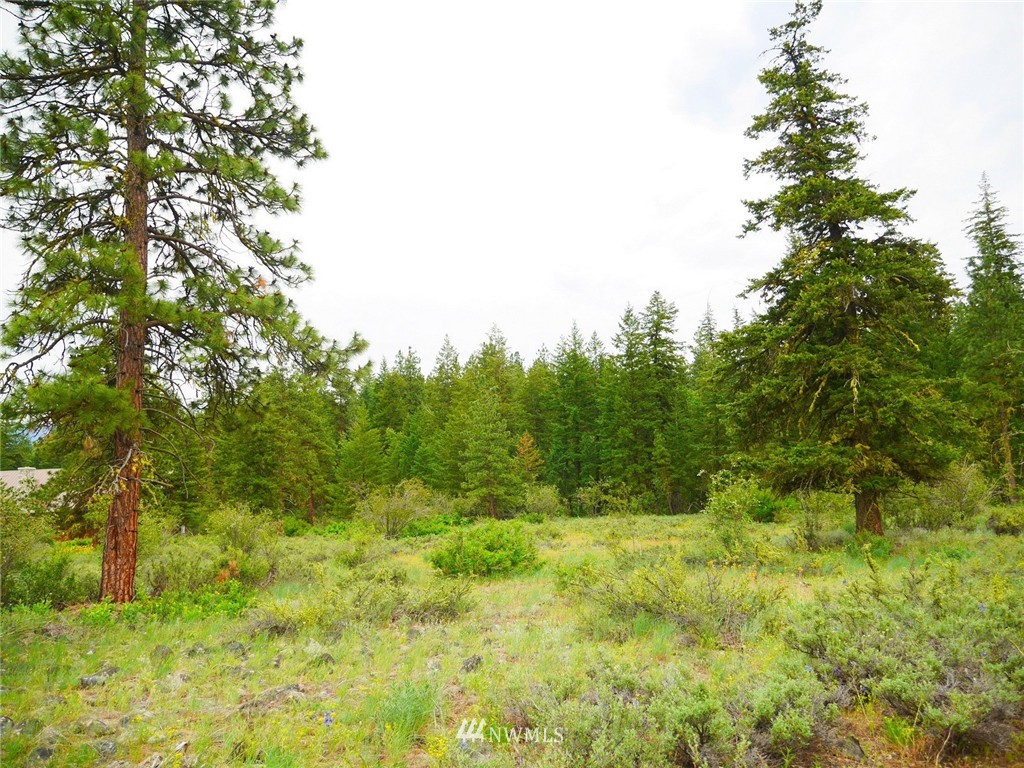 19 Wildflower Road Winthrop, WA 98862 - Photo 6 of 21 Gallery Image 6