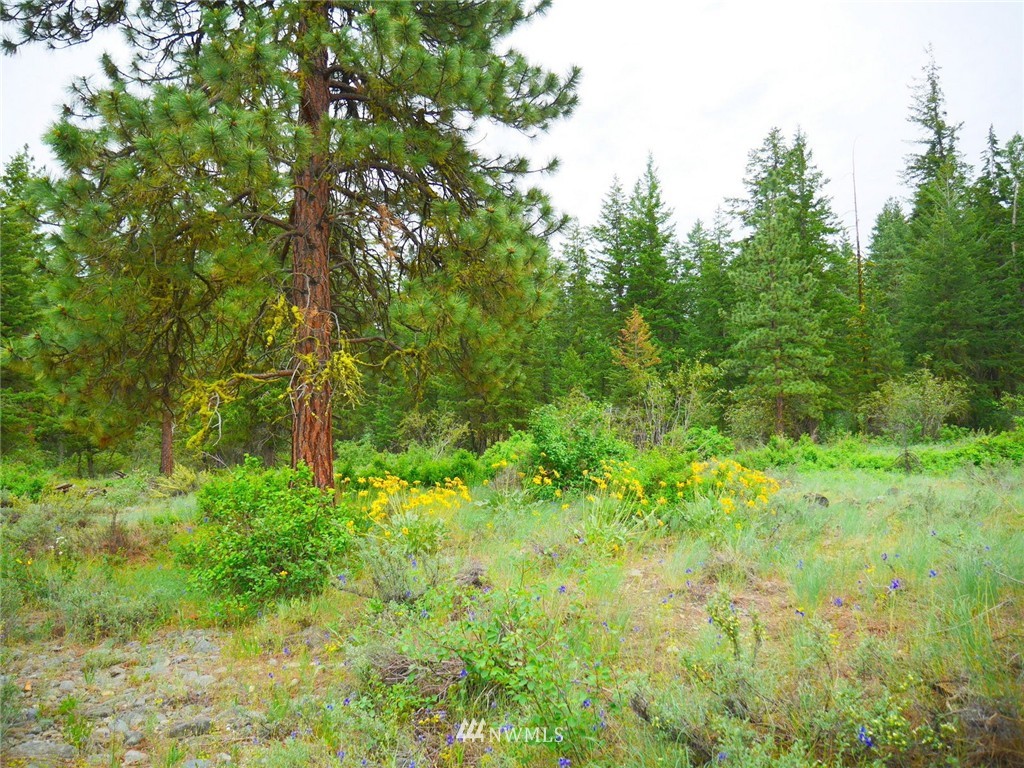 19 Wildflower Road Winthrop, WA 98862 - Photo 8 of 21 Gallery Image 8