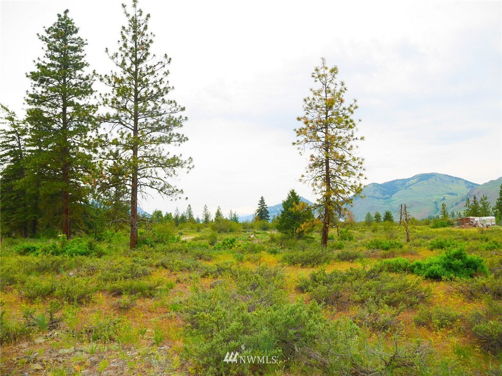 19 Wildflower Road Winthrop, WA 98862 - Photo 10 of 21 Gallery Image 10