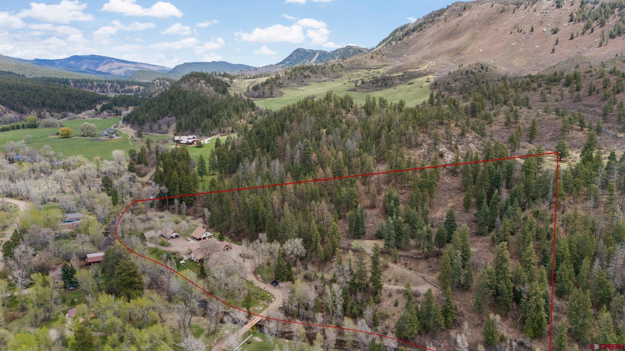 99 River Road Durango, CO 81301 - Photo 42 of 44 a view of a forest with a mountain